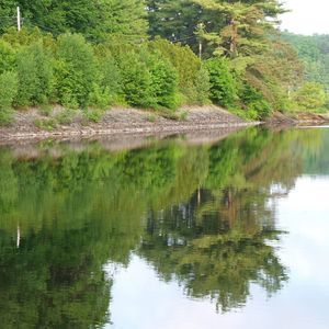 Meet your Posher, Richard